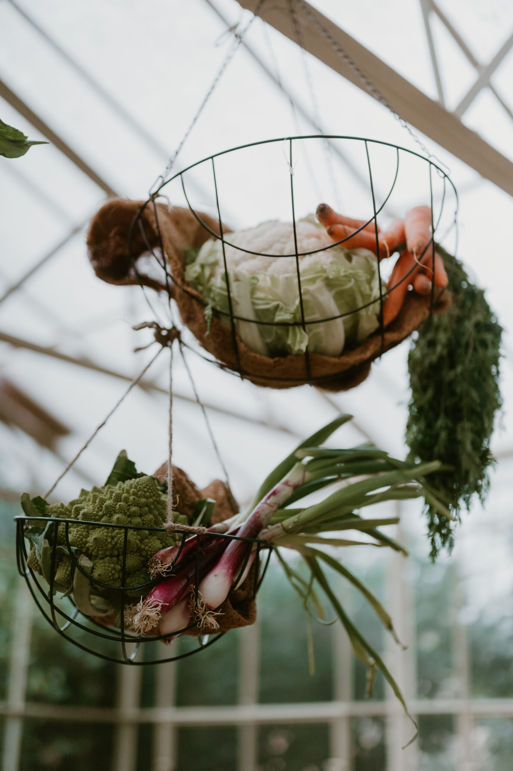 matrimonio green ecosostenibile